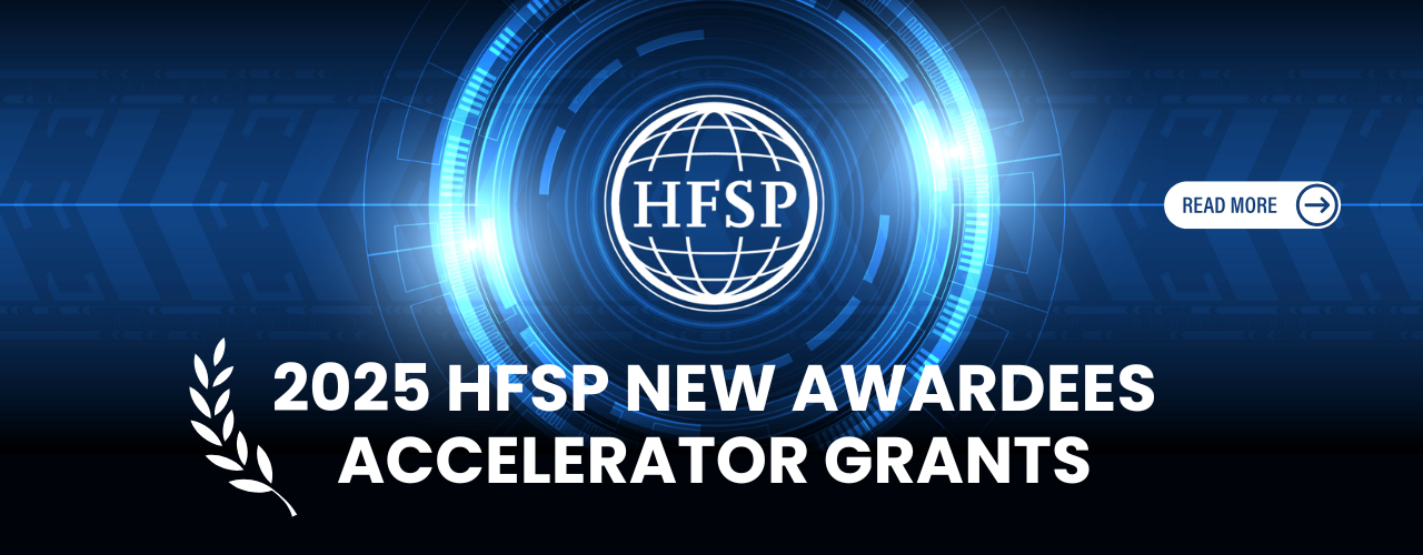 Accelerator Grants - 2025 new awardees