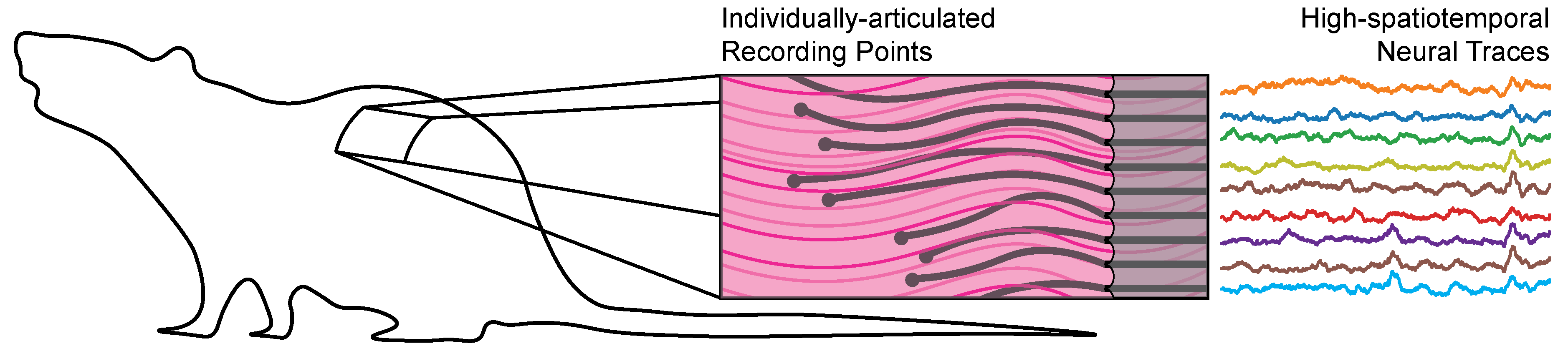 A new format of bioelectronic implant that actively promotes the growth of tissue into and around the device structure