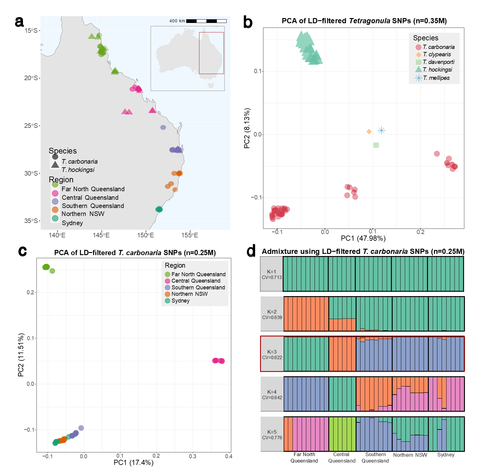 The researcher showed that there are important genomic parallels, but also meaningful differences, between this lineage and other independent origins of sociality.