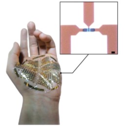 Optical micrograph displaying the top view of an individual e-IGT (top). 