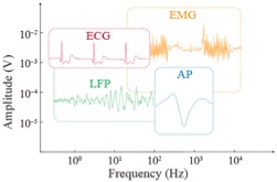 Sample traces of in vivo signals acquired by e-IGTs 