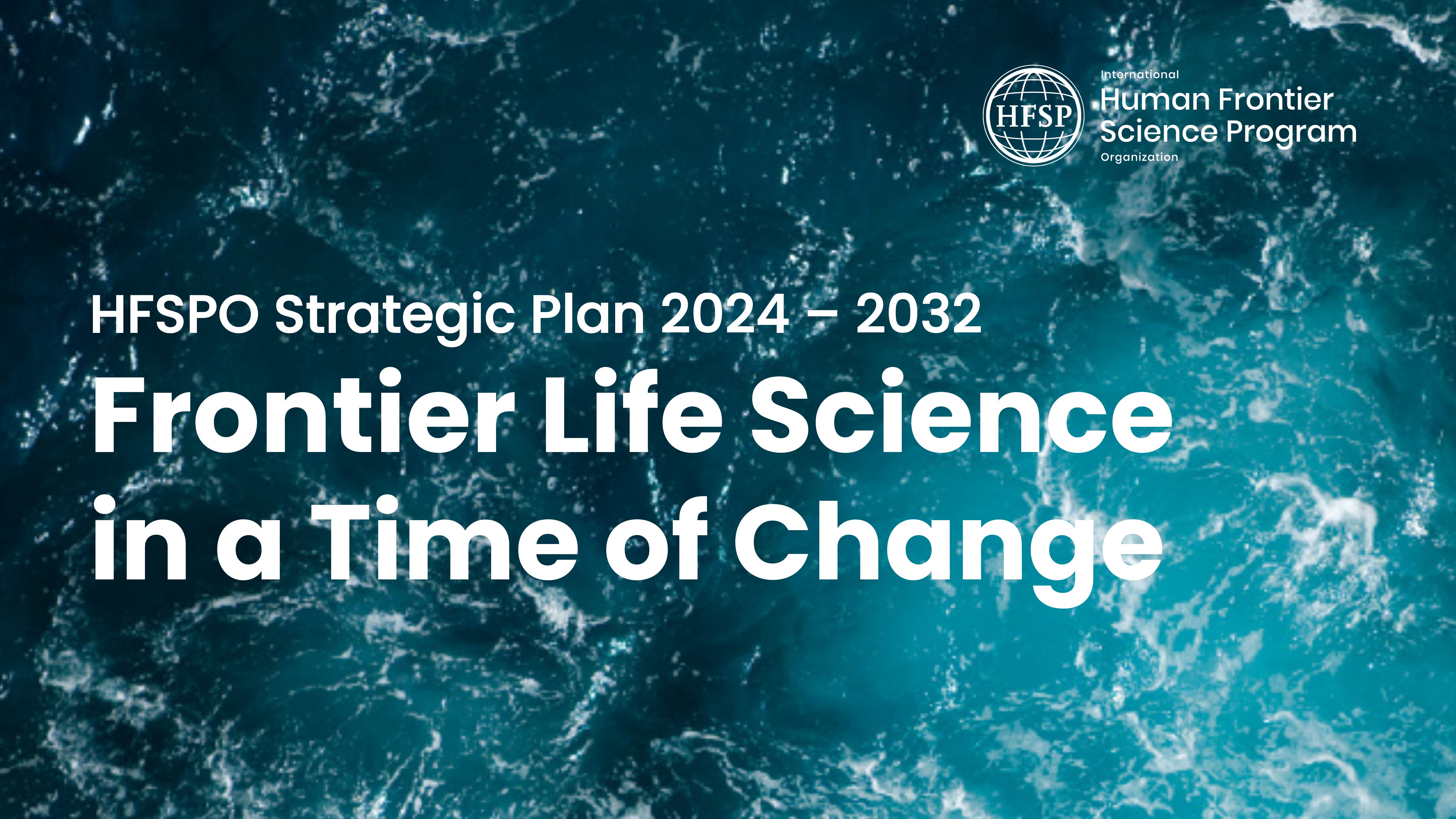 HFSPO strategy 2024-2032