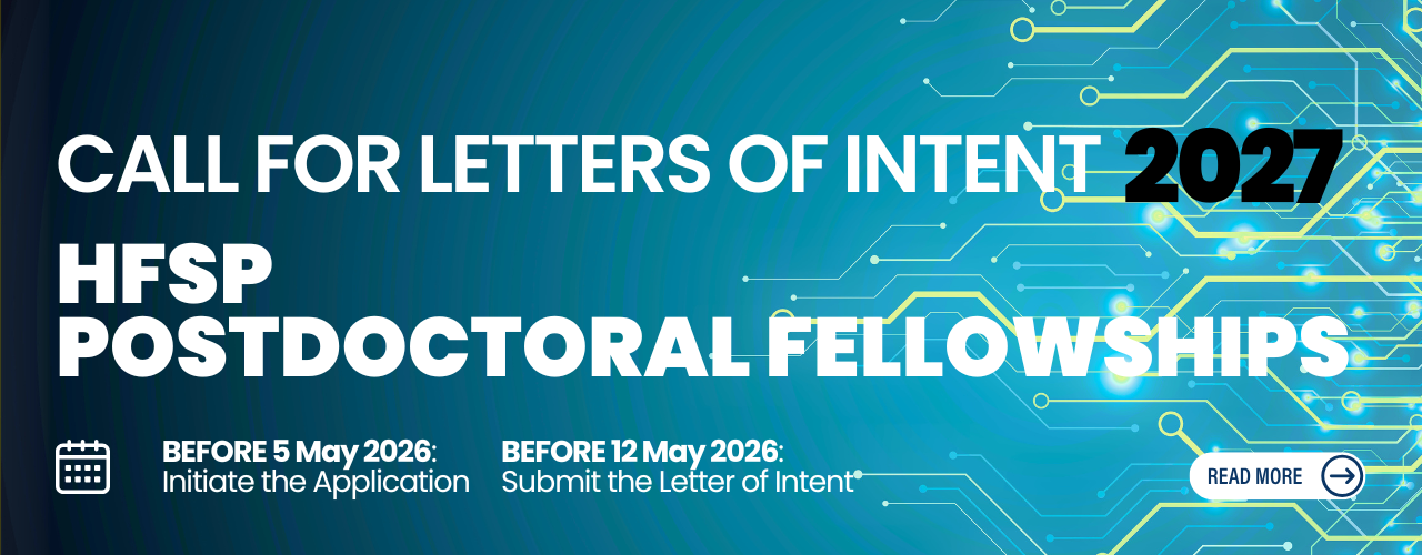 Call for LOI Fellowships