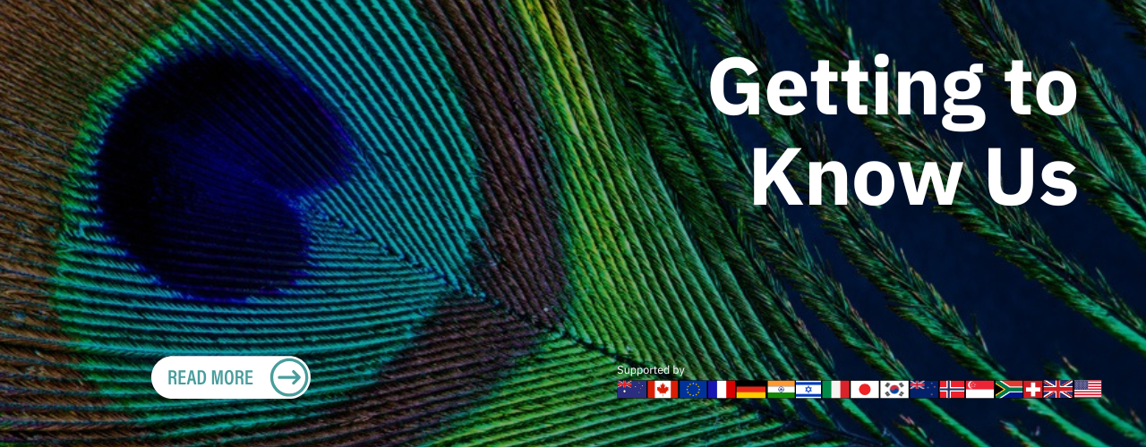 Brochure - Getting to Know Us