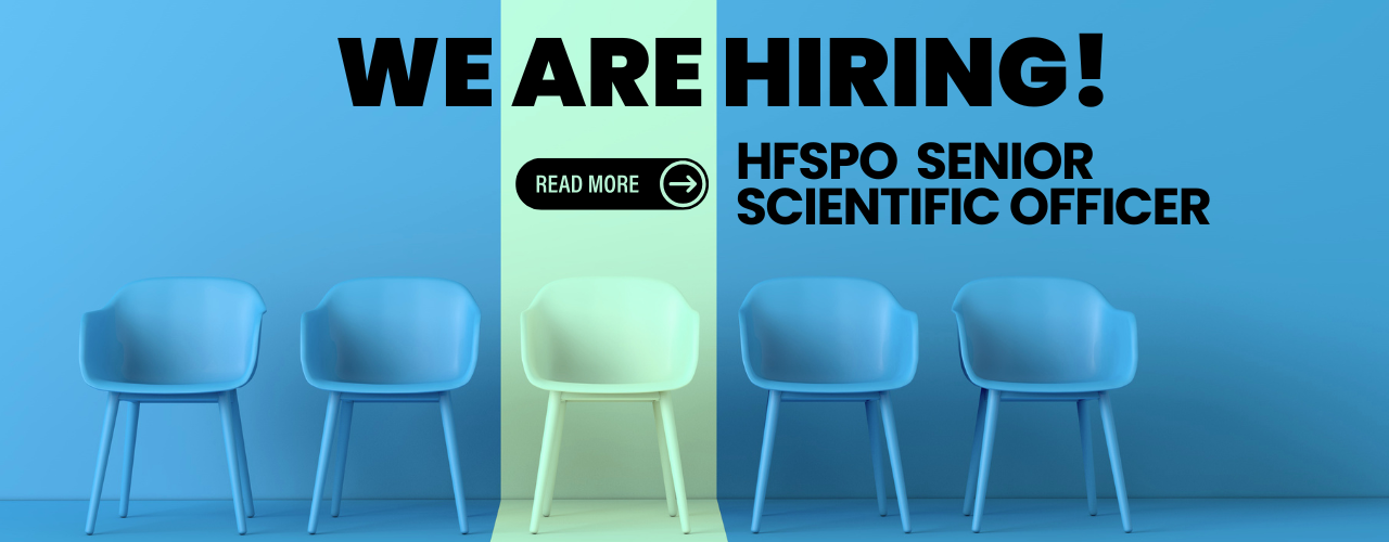 Open Position Senior Scientific Officer - Reserach Grants