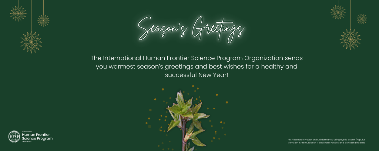 Another stellar year for HFSP!
