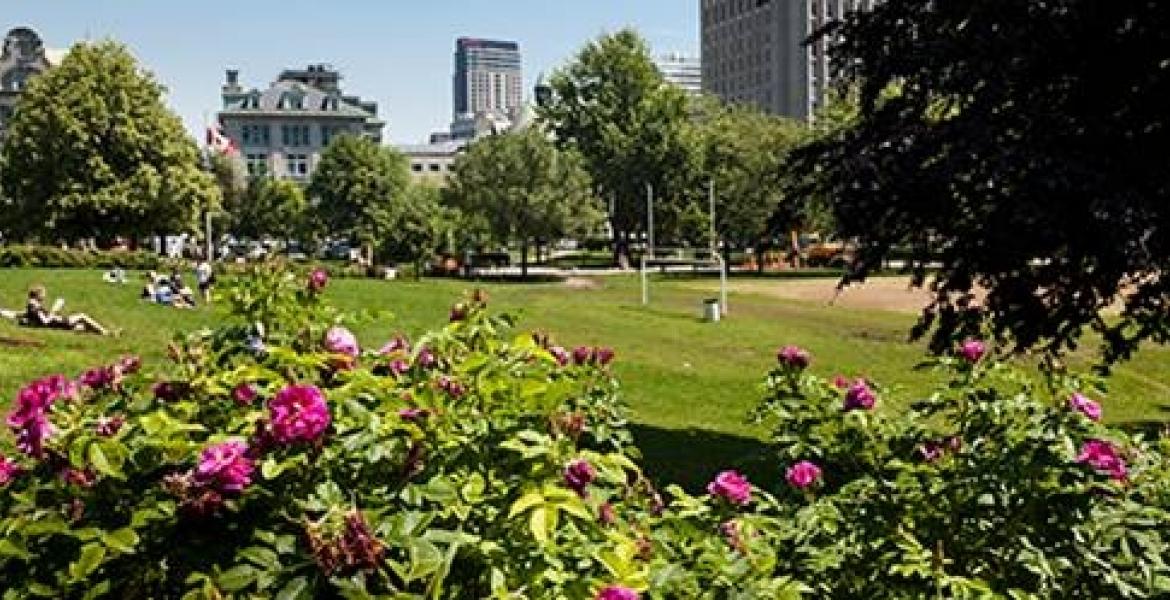 Mcgill_lower_campus