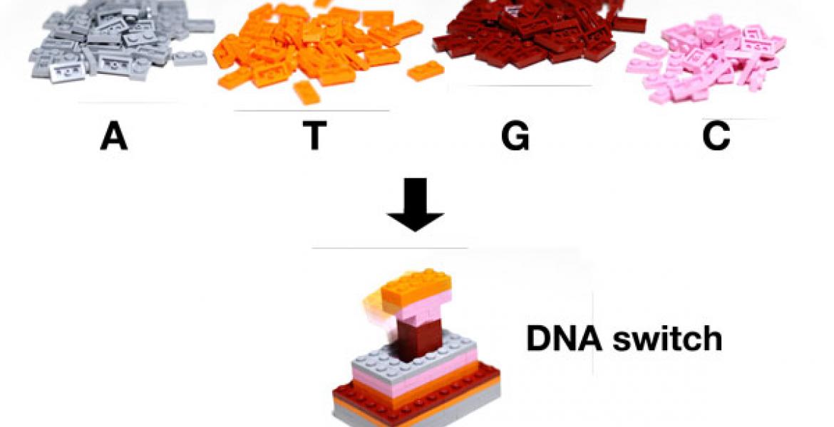 Lego pieces can be used to build complex devices