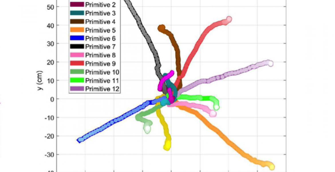 Schematic illustration of the methodology to identify structured behavioral patterns within rodent spatial trajectories.