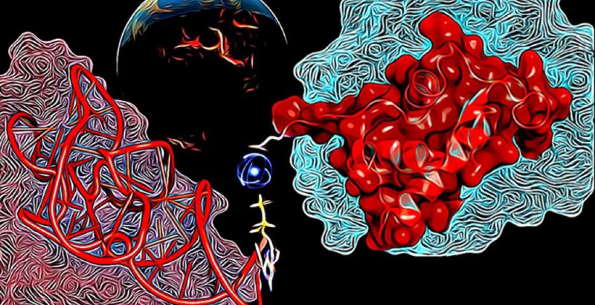 ​​Figure:  An illustrative representation of RNA-protein interaction via metal ions (image credit: Valerio Guido Giacobelli)