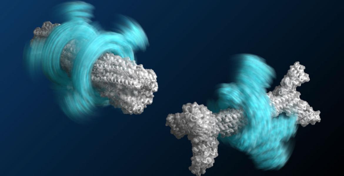 Overview of protein machine assembly