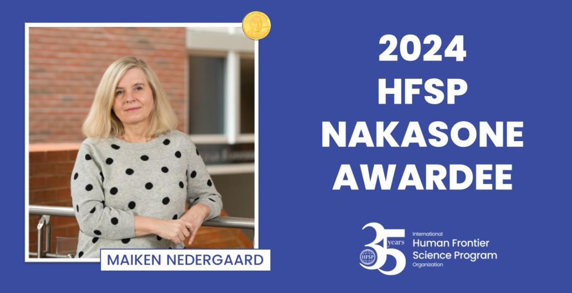 Maiken Nedergaard Wins 2024 HFSP Nakasone Award 