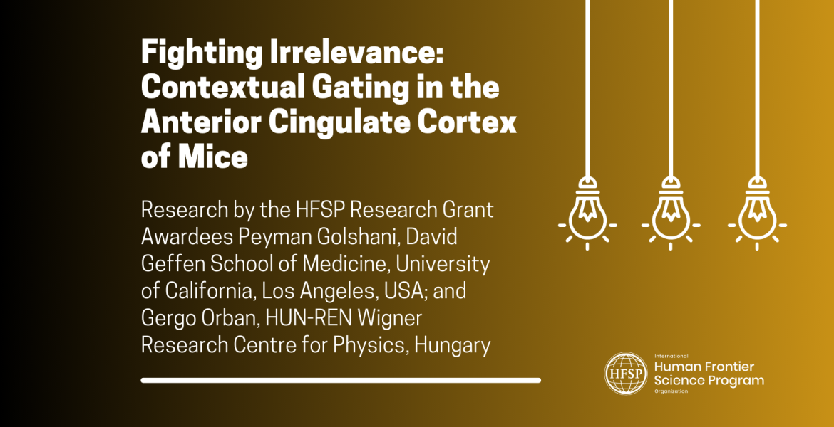 Fighting Irrelevance: Contextual Gating in the Anterior Cingulate Cortex of Mice