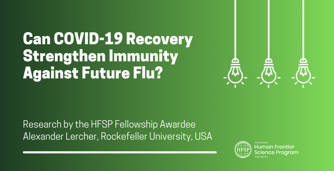 Can COVID-19 Recovery Strengthen Immunity Against Future Flu?