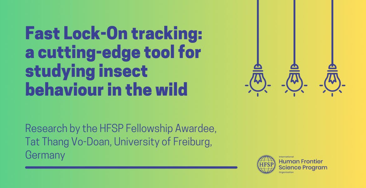 Fast Lock-On tracking: a cutting-edge tool for studying insect behavior in the wild