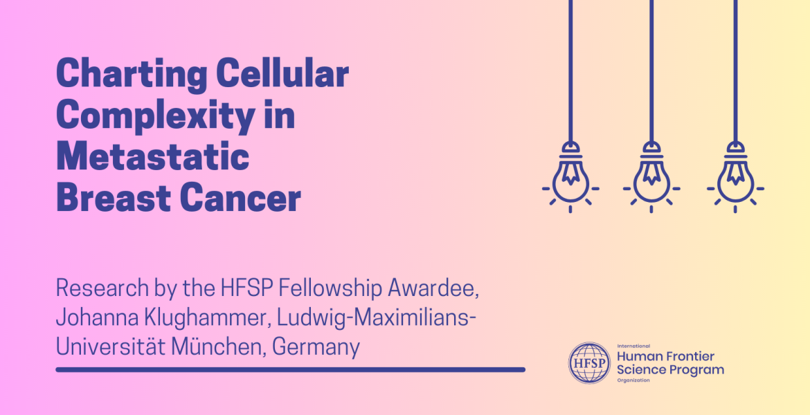 Charting Cellular Complexity in Metastatic  Breast Cancer