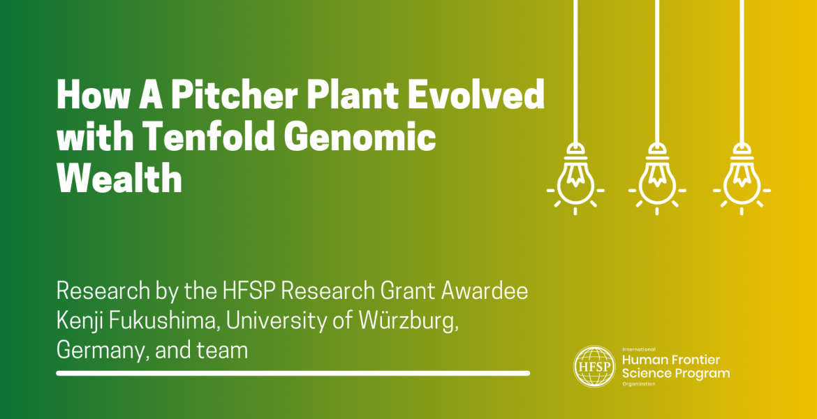 How A Pitcher Plant Evolved with Tenfold Genomic Wealth