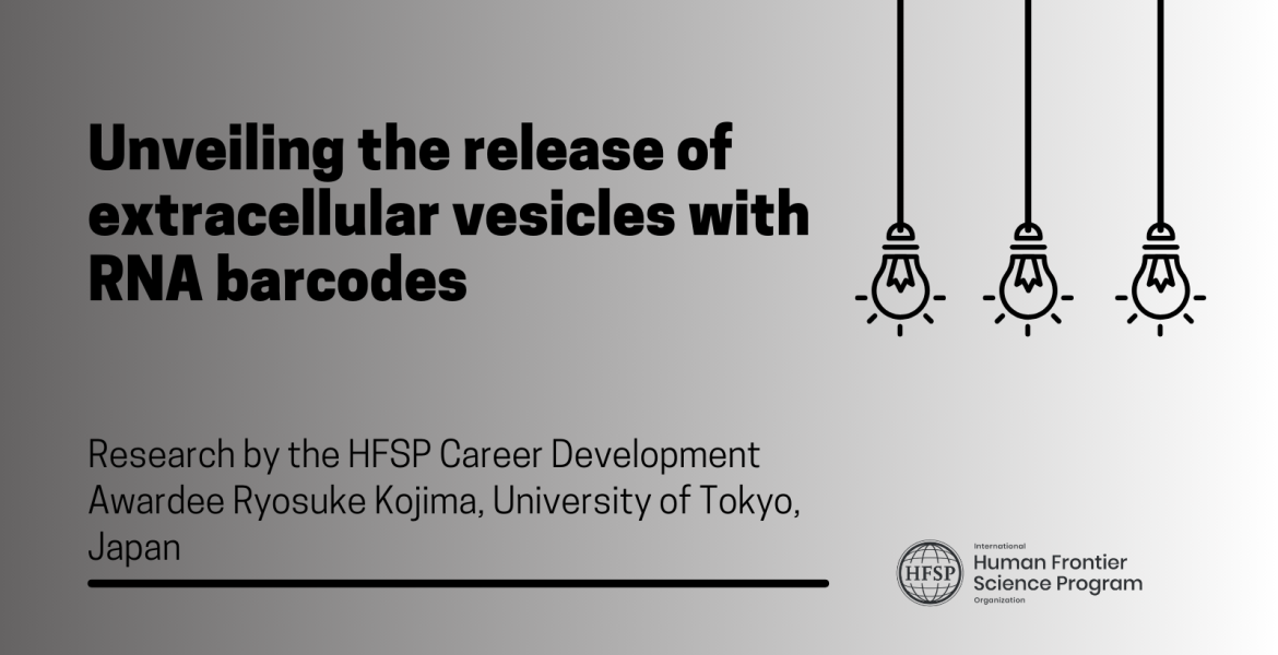 Unveiling the release of extracellular vesicles with RNA barcodes