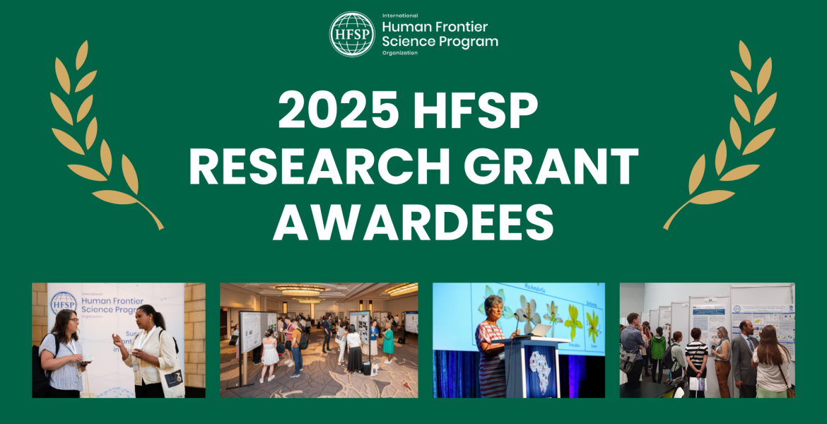 2025 - New Research Grant Awardees