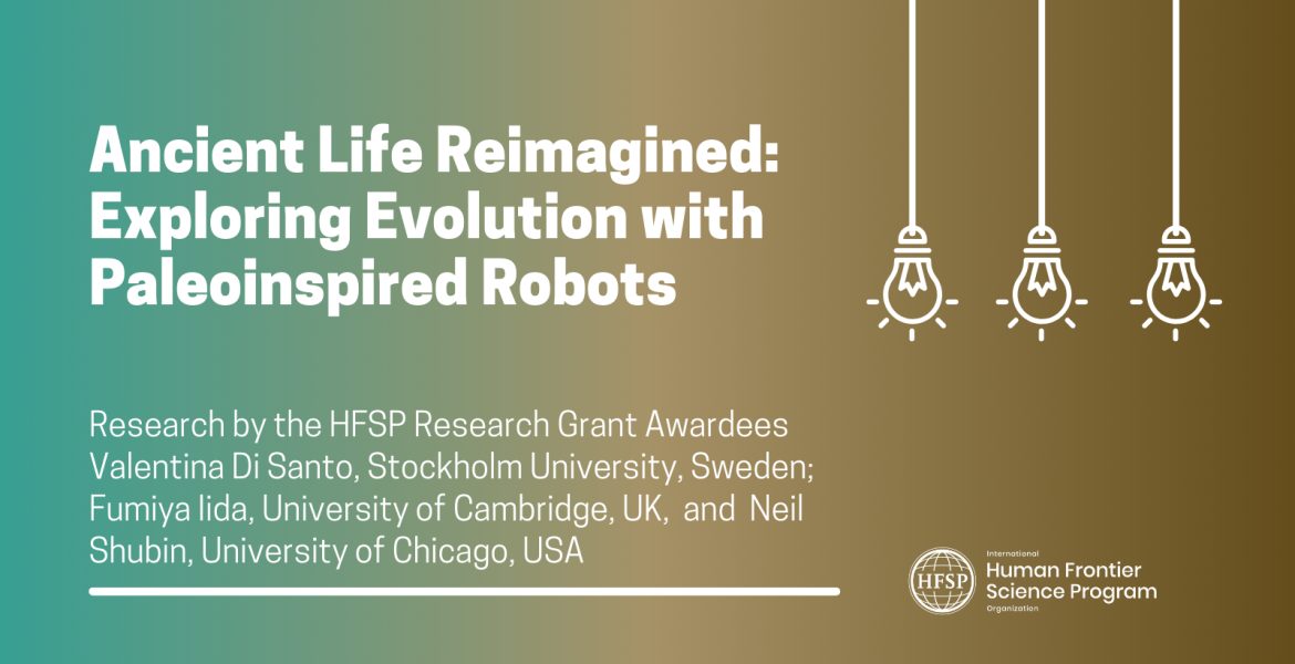 Ancient Life Reimagined: Exploring Evolution with Paleoinspired Robots