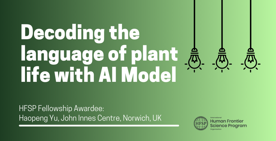 Decoding the language of plant life with AI Model