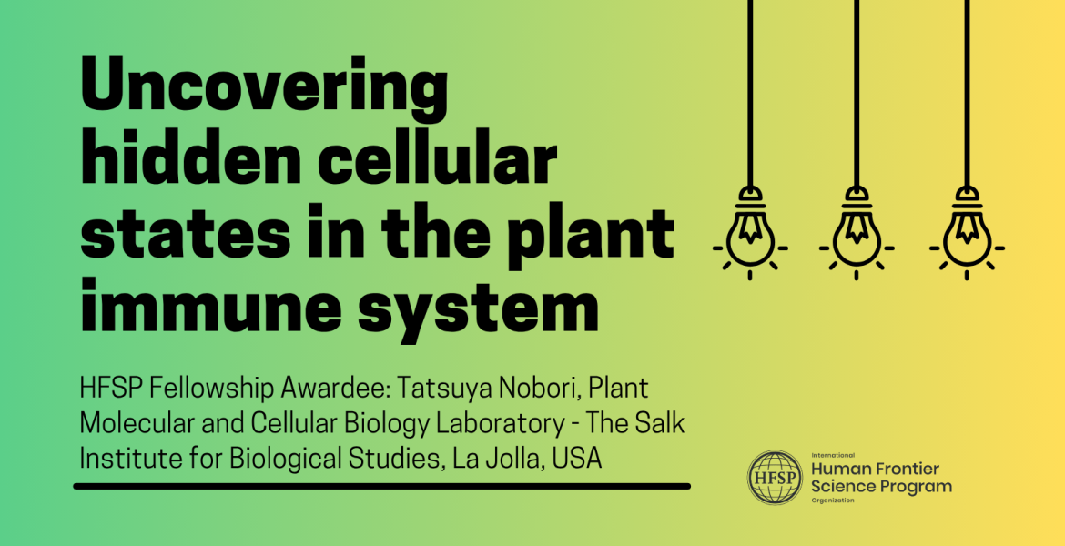 Uncovering hidden cellular states in the plant immune system