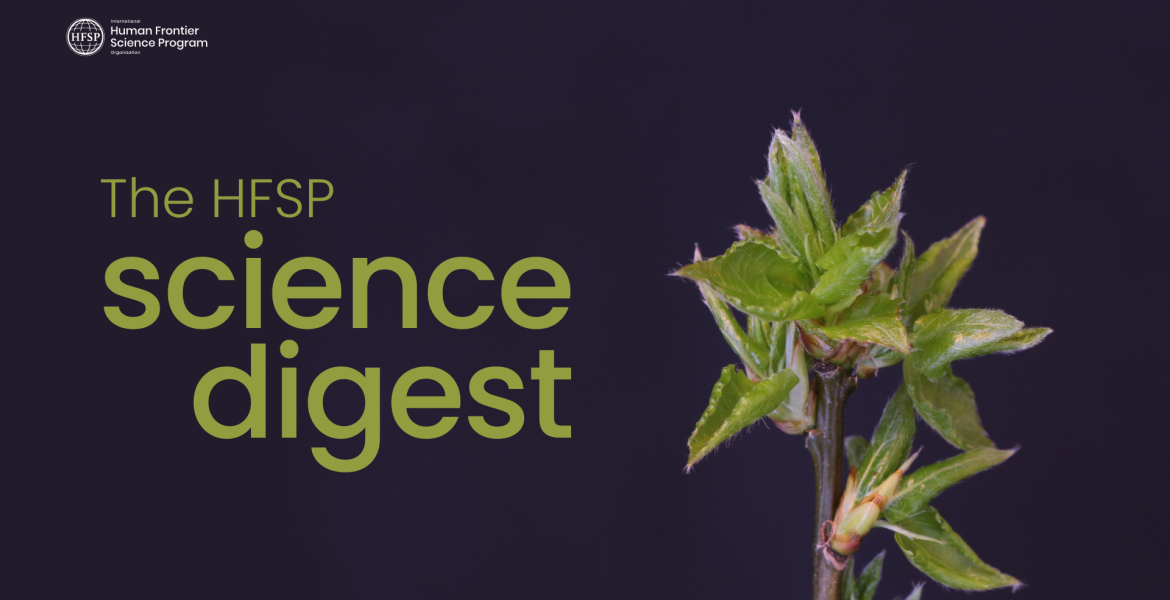 The HFSP Science Digest 2024