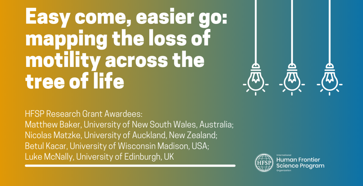 Easy come, easier go: mapping the loss of motility across the tree of life