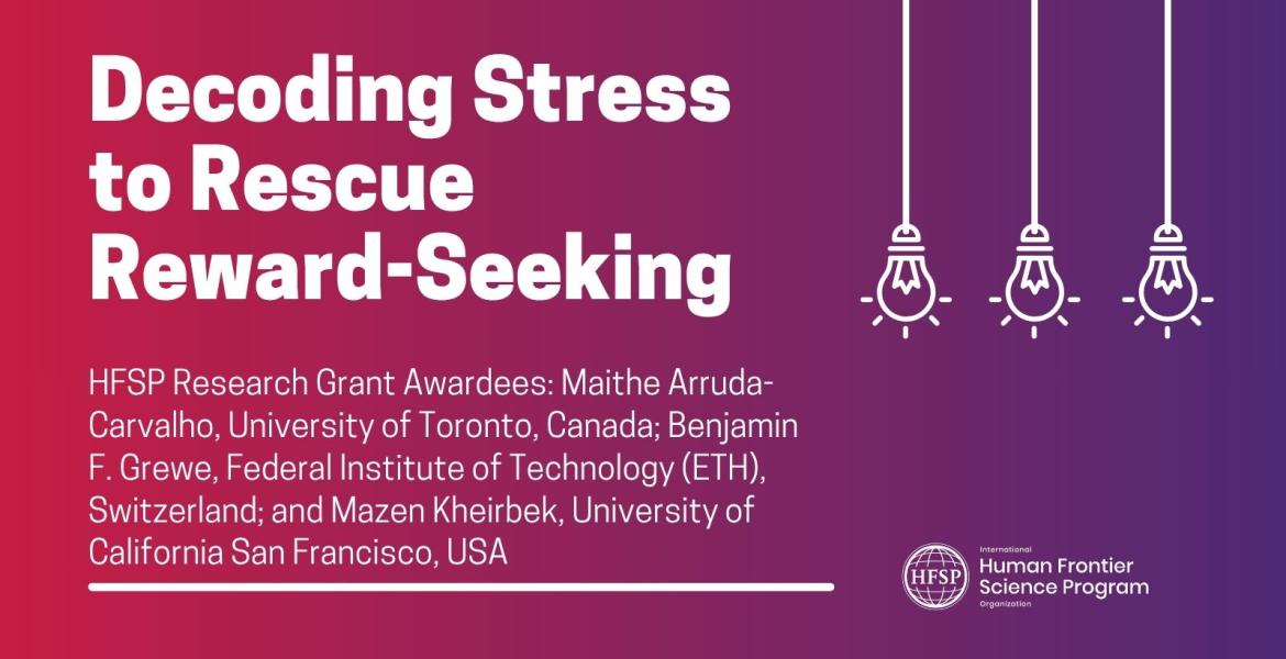 Decoding Stress to Rescue Reward-Seeking