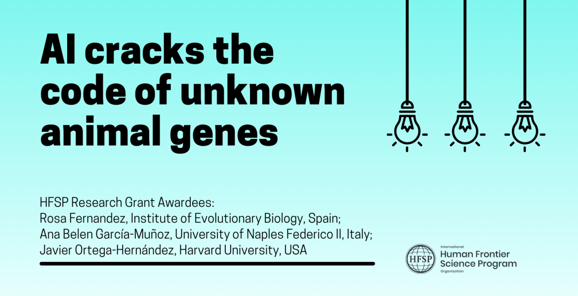 AI cracks the code of unknown animal genes