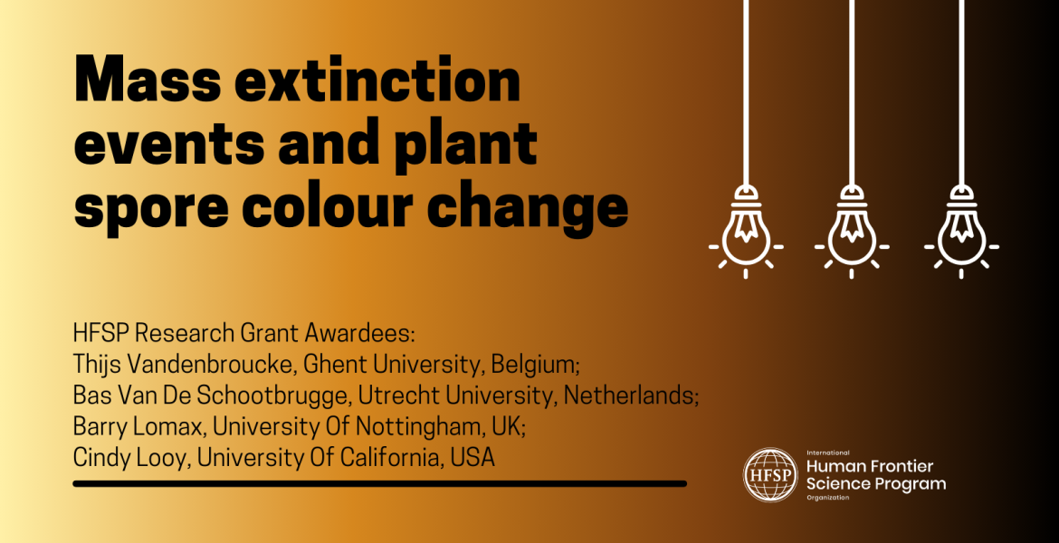 Mass extinction events and plant spore colour change