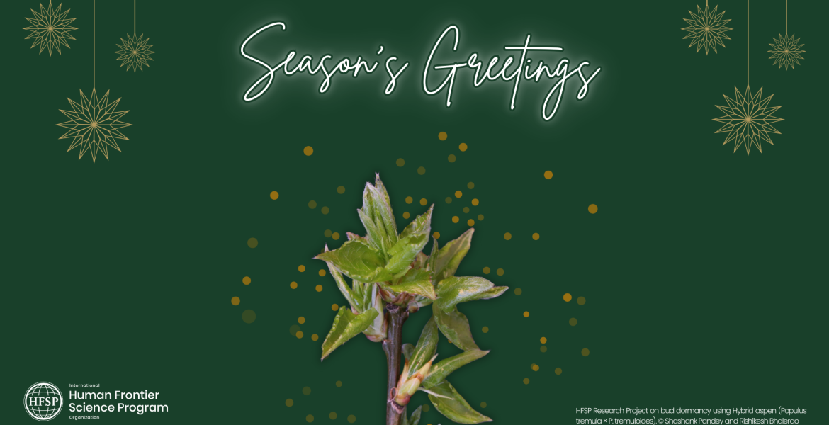 Another stellar year for HFSP!