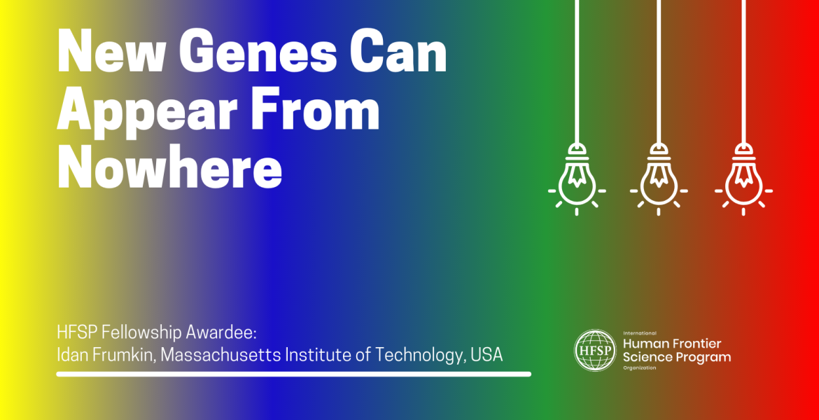 New Genes Can Appear From Nowhere