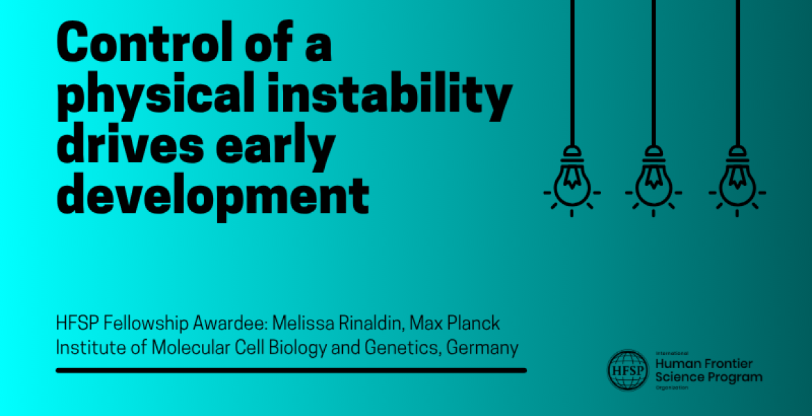 Control of a physical instability drives early development