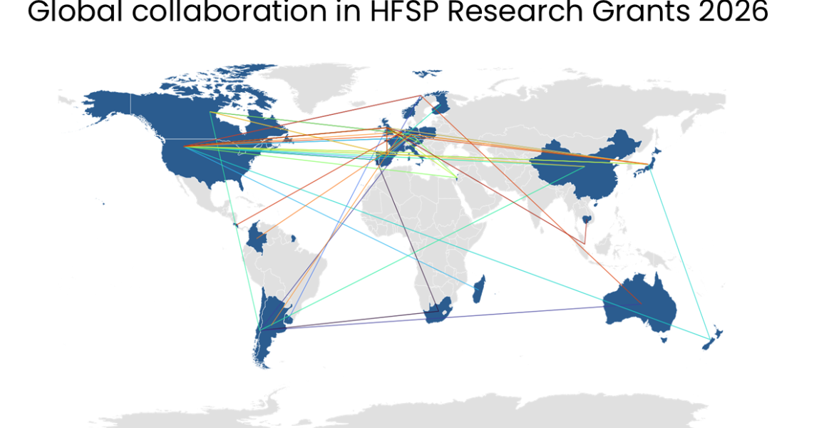 Global by design: how HFSP Research Grants connect scientists across borders