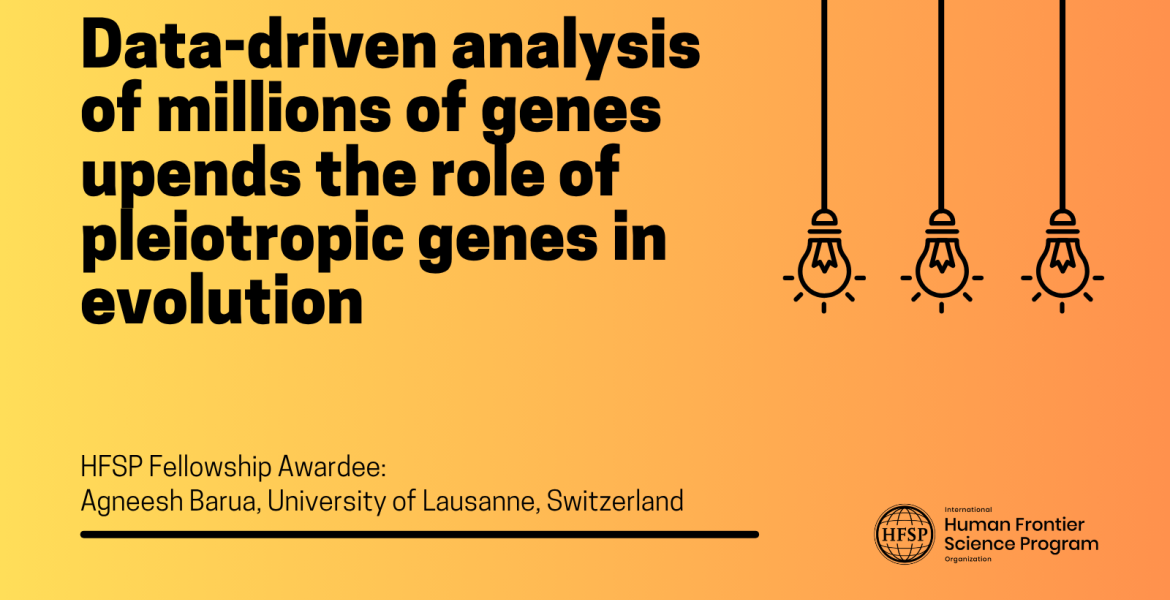 Data-driven analysis of millions of genes upends the role of pleiotropic genes in evolution