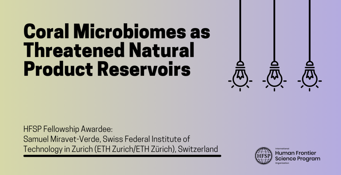 Coral Microbiomes as Threatened Natural Product Reservoirs
