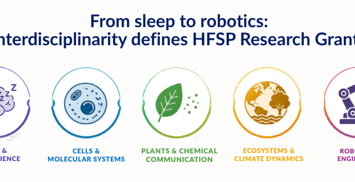 From sleep to robotics: how interdisciplinarity defines HFSP Research Grants