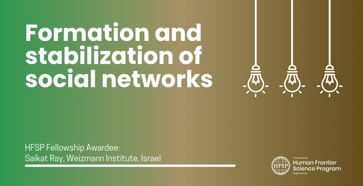 Formation and stabilization of social networks