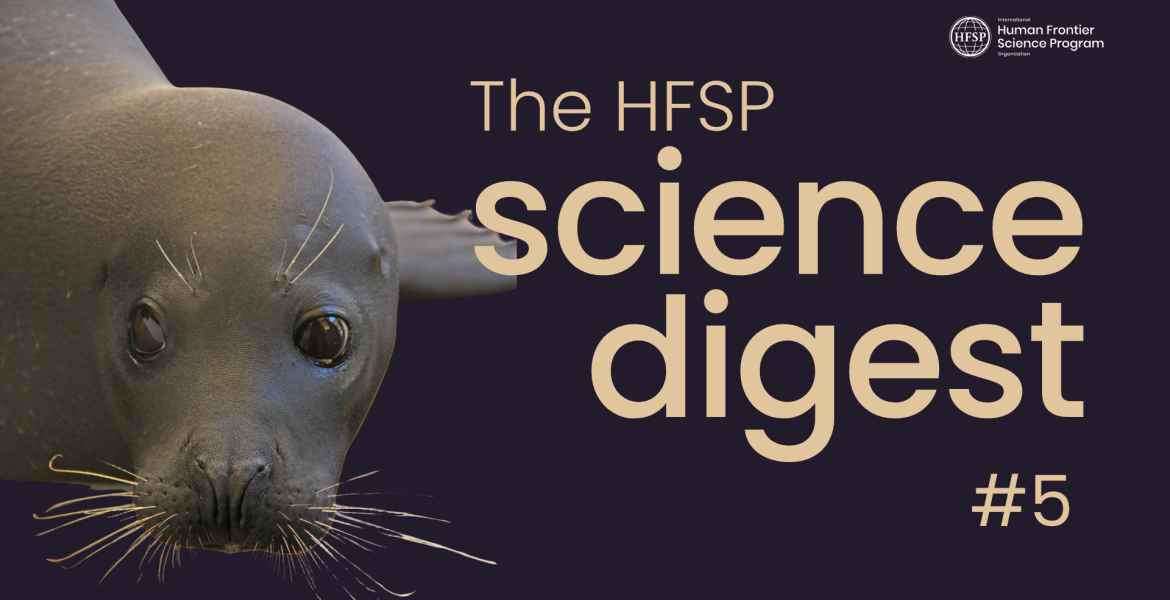 From the Origins of Life to the Rhythms of the Ocean: Discover HFSP Science Digest #5